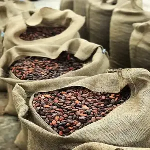 Fèves de cacao à vendre d'Équateur, fabrication de chocolat, exportation, 44% de réduction