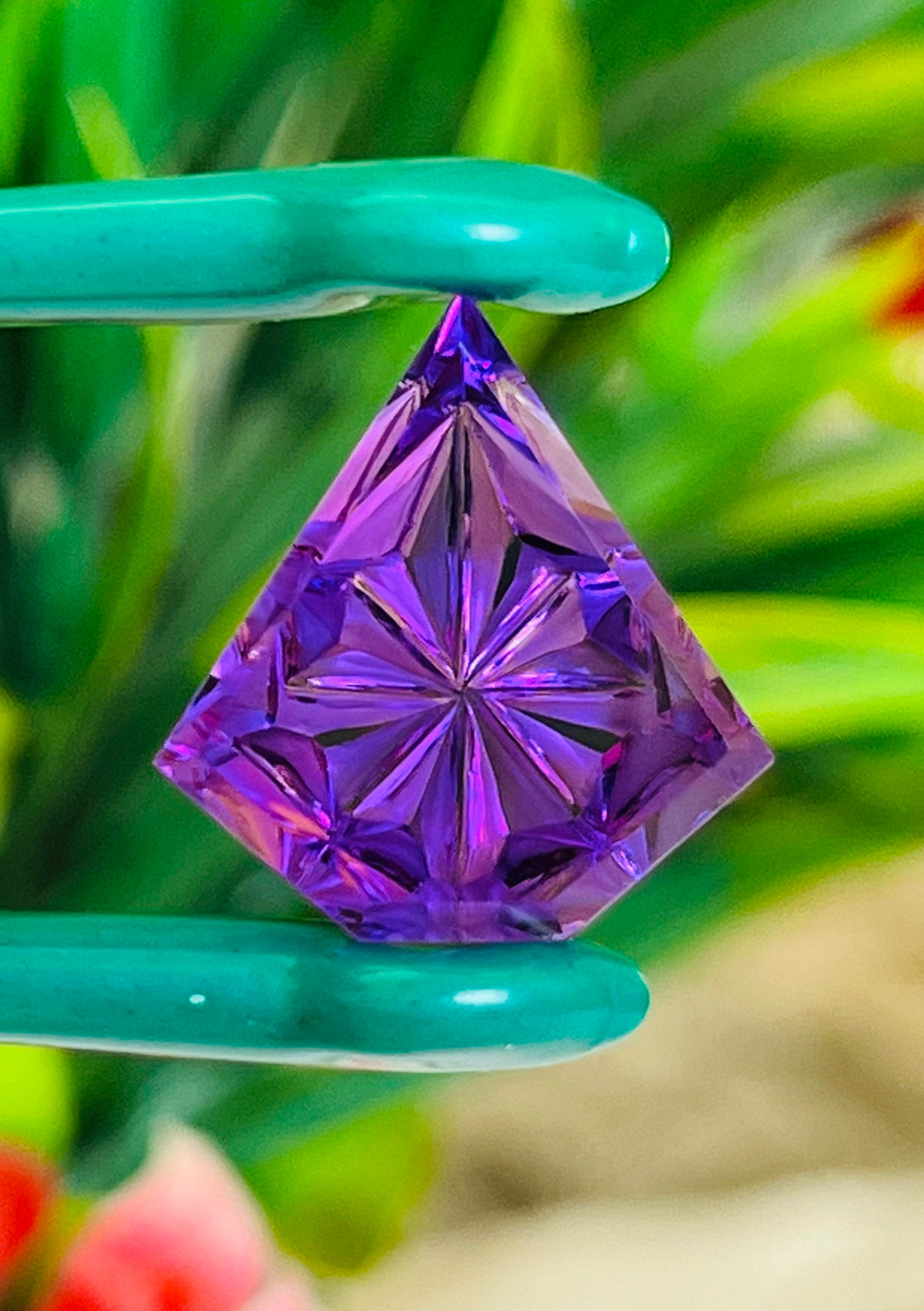 Pourpre
