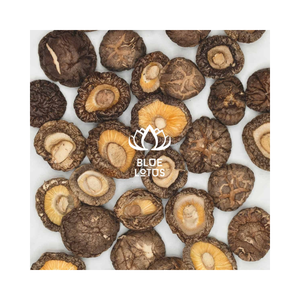Hongos Shiitake Secos de Sabor Intenso de Vietnam, Larga Vida Útil, Perfectos para Exportación y Venta al por Menor - Product Image 1