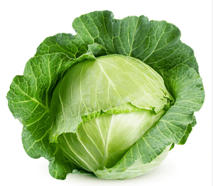 Bán Sỉ Hữu Cơ Tươi Bắp Cải Để Làm Salad Trong Bữa Ăn - Product Image 3