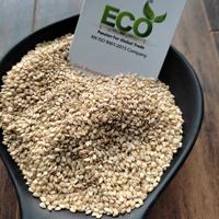 Graines de sésame blanc naturel d'Inde, qualité supérieure, sac PE/PP 50 kg, marque Eco Export, fabriqué en Inde, 5 % d'humidité, 24 mois pour l'huile