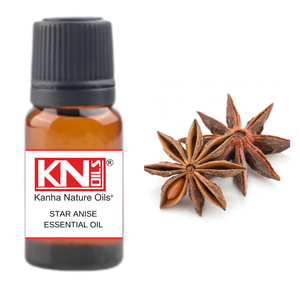 Kanha Nature Oils India Fabricado STAR ANISE Aceite esencial Premium Precio de compra a granel Aceite esencial puro de semillas - Product Image 1