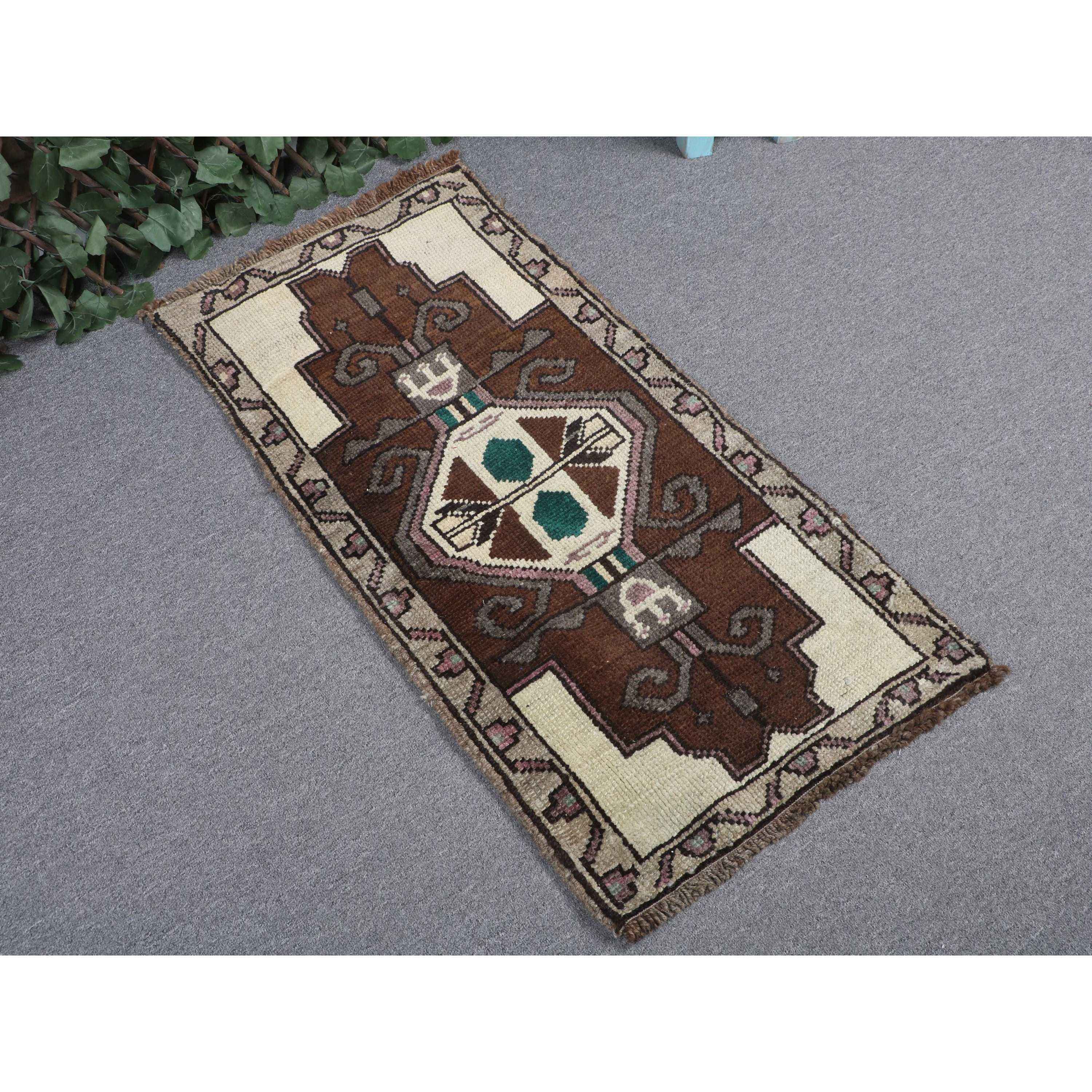 สีน้ำตาล