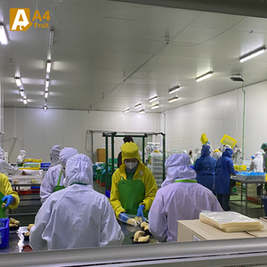 Durian Congelado con Sabor Auténtico Tailandés, Monthong Entero, Dulce, Cremoso, Orgánico, Refrigerio, Postre, Smoothie, Envasado al Vacío, Proceso LQF, Khey - Product Image 3