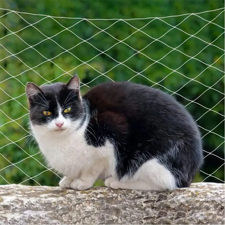 Kucing Balkon Rel Jaring Kucing Peliharaan Balkon Anti Jatuh Jaring Transparan Nilon Pet Mesh Pagar Jaring untuk Balkon Jendela Tangga