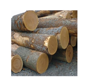 Grumes de bois rouge Bilinga Grade une origine américaine-Disponible pour l'achat en gros pour la construction et l'artisanat - Product Image 5