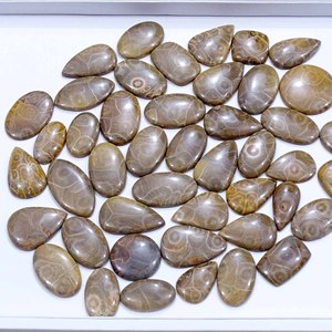 Cabujón de coral fósil natural lote al por mayor cabujón de coral fósil por peso con diferentes formas utilizadas para la fabricación de joyas - Product Image 1