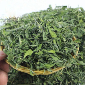 Heno de Alfalfa y Timothy Verde de Primera Calidad en Pacas, Alimento para Ganado, Suministro Global para Granjas, Alimento para Ganado, Vida Útil de 24 Meses - Product Image 5