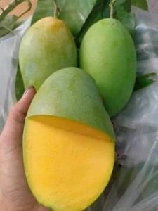 Số lượng lớn <span class=keywords><strong>kaew</strong></span> xoài với hương vị đẹp và màu vàng bắt mắt giàu vitamin 2024 - Product Image 4