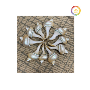 Cuillère et fourchette en coquillage naturel authentique du Vietnam Produit en nacre artisanal pour l'exportation et les boutiques - Product Image 1