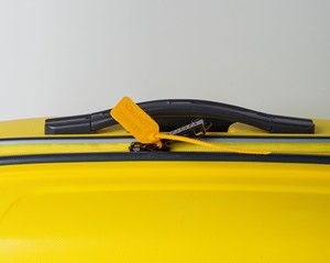 Sello de seguridad de plástico BANKSEAL con opción de grabado láser - Product Image 6