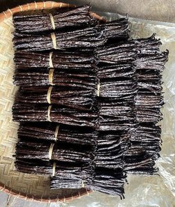 Offre Spéciale 18-21 cm Naturel Vanille Bourbon Noir TK Vanille Séchée Avec Préparation Traditionnelle Pour La Vente À L'exportation - Product Image 4