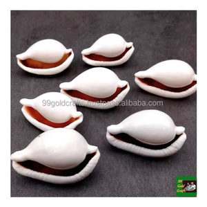 Best Price Natural Polished Gloss Finish Ovula Ovum Shells/<b>Egg</b> Cowrie Shells /White Rabbit Cowrie Size 5-8cm From Vietnam - Product Image 4