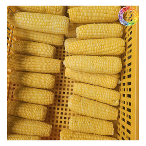 ข้าวโพดหวานแช่แข็งแช่แข็ง iqf ข้าวโพดสีเหลืองและสีขาวแช่แข็งลดลงครึ่งหนึ่งหรือทั้งหมดขายดีที่สุดเมล็ดข้าวโพดเหนียวสีขาวแช่แข็ง - Product Image 1