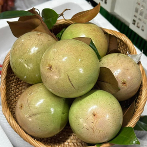 แอปเปิ้ลดาวสด สำหรับซูเปอร์มาร์เก็ตและผู้จัดจำหน่ายทั่วโลก - Product Image 5