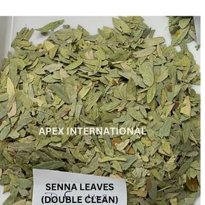 Feuilles entières séchées, Cassia angustifolia feuilles de séné coupées en T, poudre de feuilles de séné, exportateur en vrac de l'Inde, herbe laxative naturelle - Product Image 4
