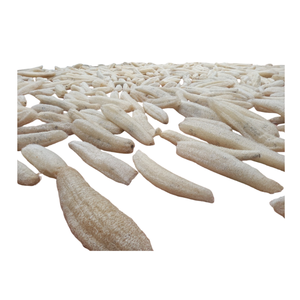 Dried Whole Loofah Gourd from Vietnam Processed for Use in Packaging Supply Chains and Distribution for Commercial Trade Buyers - Product Image 5