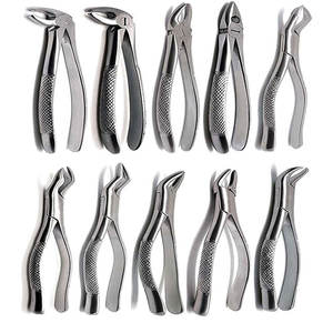 Pinzas Quirúrgicas Dentadas de Acero Inoxidable Duradero, Herramienta Médica de Acero Inoxidable - Product Image 1