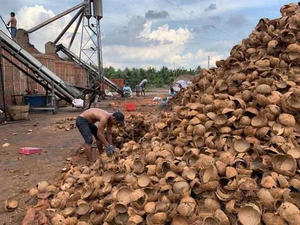 Cáscara de Coco Cruda Premium de Vietnam para la Elaboración de Carbón Vegetal y Uso Industrial, Material a Granel de Alta Calidad Listo para Exportar 2025 - Product Image 4