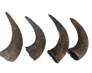 Matériau écologique durable en corne de buffle brut authentique pour l'artisanat naturel sculpté à la main d'animaux personnalisés - Product Image 4