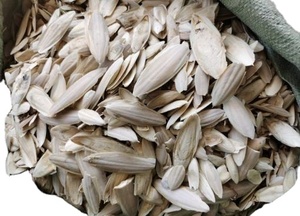 HUESO DE CUTTLEBONE PEQUEÑO PARA ANIMALES AL POR MAYOR HUESO DE SEPECO BLANCO NATURAL DE FÁBRICA VIETNAM - Product Image 6