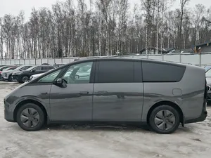 2024 Ll Auoo Llxlang Megah SUV AWD R18 Leather Seats Lithium Battery 6 Seats <b>Panoramic</b> Sunroof - Product Image 5