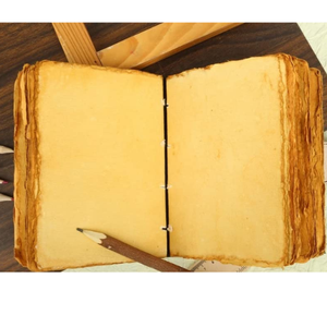 Cuaderno de diario de cuero genuino con estampado de tigre Vintage clásico, papel con hebilla envejecida, elegante, uso Personal de oficina - Product Image 5