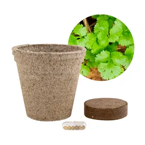 Gadget Semi-Biodegradabili Eco-Friendly, Vaso per Paprika Ecologico per Fioriere e Vasi da Giardino - Product Image 4