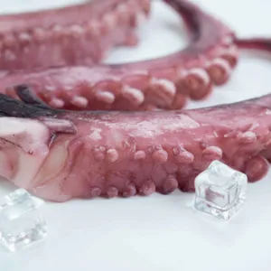 Hot Sale IQF Frozen Squid Sexual Organ Tips Various Parts Including Tentacle Ring Flower Salt Bags Calamari Culinary Adventures