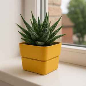 Pot de fleur carré en plastique résistant aux UV de 12x11 cm couleur curry avec un design élégant pour l'intérieur/l'extérieur Fournitures de jardinage - Product Image 3