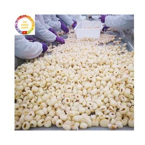 ลิ้นจี่ที่เก็บเกี่ยวสดใหม่จากเวียดนามแช่แข็งด้วยเทคโนโลยี iqf พร้อมใช้คุณภาพระดับพรีเมียมสำหรับผู้ซื้อจำนวนมาก - Product Image 6