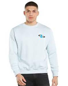 Sudaderas de cuello redondo de gran tamaño en blanco 100% algodón mangas raglán sudaderas con capucha logotipo personalizado fabricante superior - Product Image 6