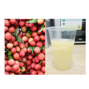 น้ำผักและผลไม้ลิ้นจี่บดบรรจุภัณฑ์จำนวนมาก - Product Image 3