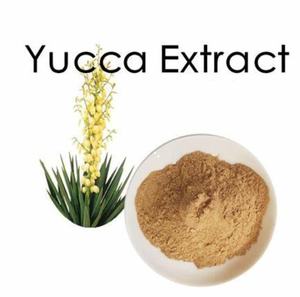 Pabrik grosir Yucca ekstrak bubuk 10%-98% Saponins/Yucca Shidigero ekstrak Yucconin - Product Image 2