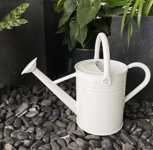 Regadera de metal con acabado desgastado rústico | Regadera de jardín de estilo vintage para decoración de granja y plantas al aire libre - Product Image 4