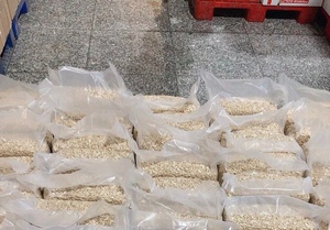 Bán Nóng! Việt Nam hạt điều hạt nhân ww450 W180/ W320/ W240/ LP/sp xử lý với bao bì chân không & hộp thiếc/Anna làm - Product Image 6