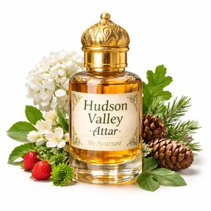 Huile de parfum Attar Hudson Valley |   Parfum aromatique d'inspiration naturelle |   Attar sans alcool pour la vente en gros en vrac - Product Image 1