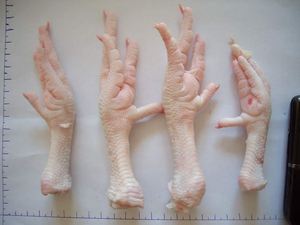 Poulet entier frais halal de qualité supérieure, congelé, traité LQF, faible teneur en sel, nutritif, emballé sous vide, 312g - Product Image 4