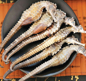 Caballito de Mar Seco Real de Alta Calidad (Hippocampus) Rico en Nutrientes para Aplicaciones Herbales Tradicionales - Product Image 3