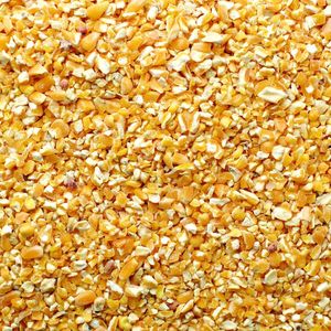 Natural Cracked Corn <b>Bird</b> <b>Seed</b> | Wildlife Feed for Poultry, Deer & <b>Wild</b> <b>Birds</b> | Factory Supply - Product Image 2