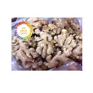 GINGEMBRE FRAIS BIOLOGIQUE DE HAUTE QUALITÉ DU VIETNAM RACINE D'ÉPICES NATURELLES DE QUALITÉ D'EXPORTATION POUR LA CUISSON DU THÉ ET UN USAGE CULINAIRE - Product Image 5