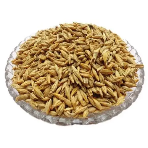 Lúa mạch cho thức ăn chăn nuôi từ Ấn Độ chất lượng tốt nhất có sẵn cho xuất khẩu