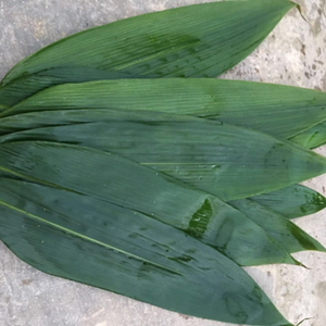 Feuilles de bambou de haute qualité pour des recettes saines et traditionnelles - Product Image 1