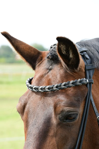 Browbands de brida de caballo de cuero de alta calidad Canal vacío Tamaños personalizables V y estilo ondulado Browbands de caballo Característica duradera - Product Image 6