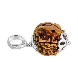 Colgante de Rudraksha de Cuatro Caras 100% Original Certificado de Nepal, Gemas Ganesh JI Arihant, Chapado en Oro de 18K, Colgante de Plata de 18K, 4 Caras, Regalo - Product Image 4
