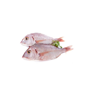 Poisson entier de dorade rouge congelée à vendre des fruits de mer de qualité supérieure parfaits pour griller ou frire - Product Image 6