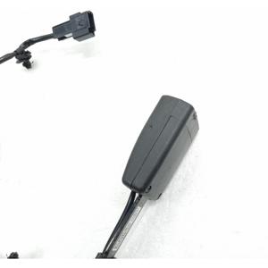 Gancho del Cinturón de Seguridad Delantero Derecho OPEL Karl Serie 42426731 (15>17) - Product Image 2