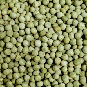 Pois surgelés en vrac Vente en gros Pois frais surgelés conservant une couleur et un goût naturels pour l'exportation au détail et la restauration - Product Image 2