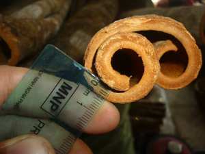 Vente en gros de bâtonnets de cannelle naturels, nouvelle culture à prix raisonnable, bâtonnet de cannelle - Product Image 5