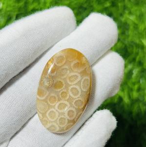 ปะการังฟอสซิลฟอสซิลธรรมชาติทำด้วยมืออัญมณีหลวมขนาดตามสั่งสำหรับทำเครื่องประดับหินคริสตัลบำบัดขายส่ง - Product Image 5